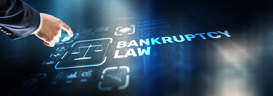 Bankruptcy law 