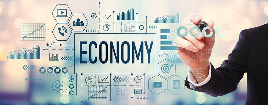The Economy